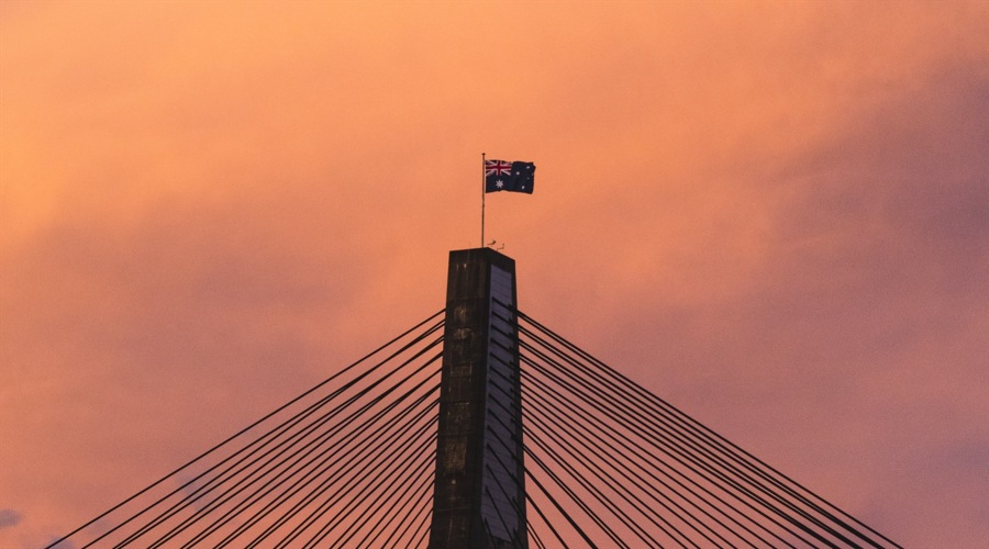 雷州东西洋田早稻收获季 田野满眼金黄